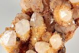 Sunshine Cactus Quartz Crystal Cluster - South Africa #191801-2